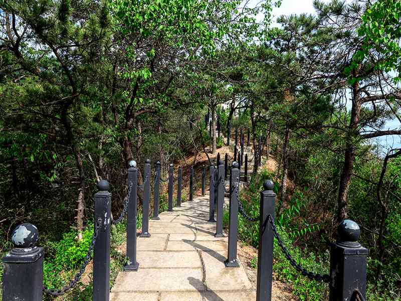 华人怀思堂优缺点有哪些（怀思堂有哪些安葬形式）