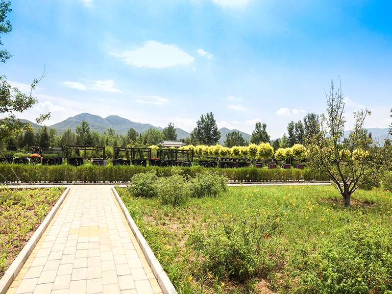 延庆八达岭人民公墓怎么样(陵园还在售吗)