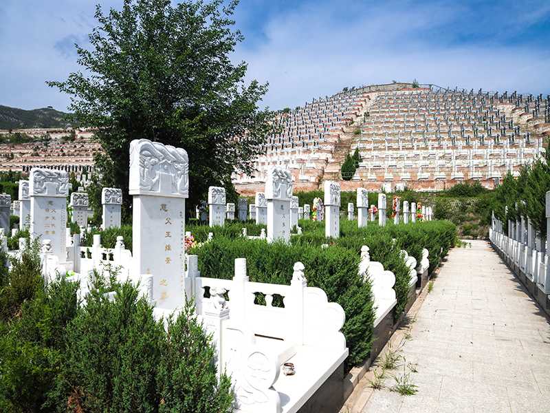 炎黄陵园可以正常扫墓吗(炎黄陵园线路)