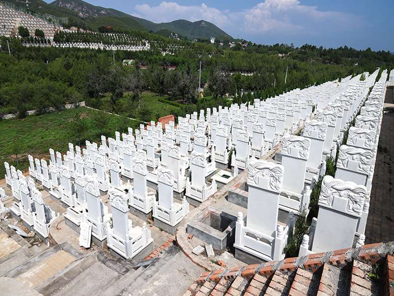 炎黄陵园可以正常扫墓吗（炎黄陵园线路）