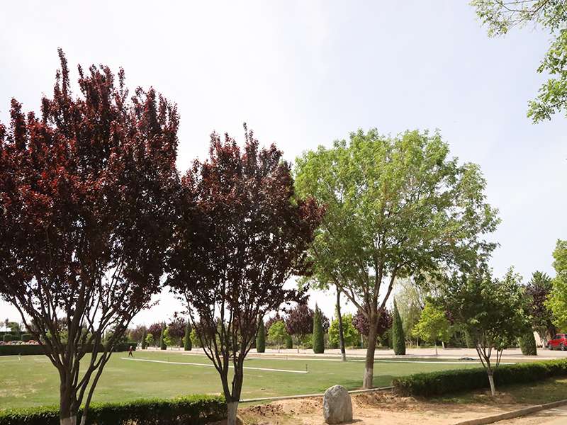 静安公墓咨询电话是多少（ 静安公墓的墓地好吗）