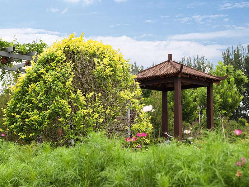 清东陵万佛园怎样 (清东陵万佛园的历史文化)