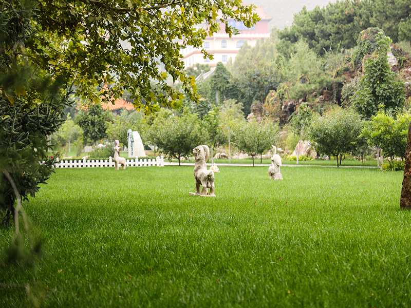 清东陵万佛园环境怎么样（万佛园碑型多吗）