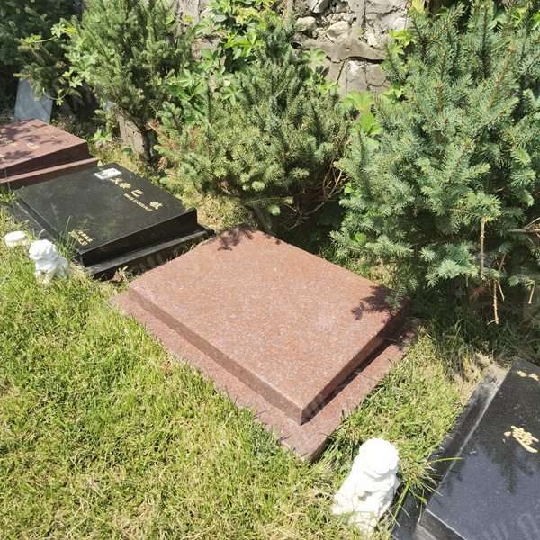 树葬可以搭配什么服务（树葬服务特点）