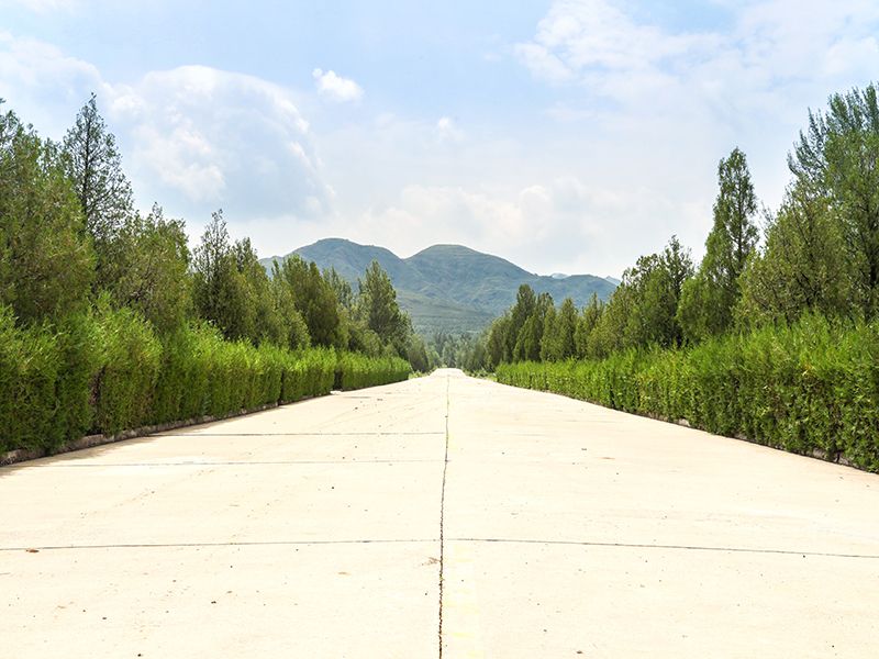 佛山陵园怎么样（佛山陵园在售碑型多吗）