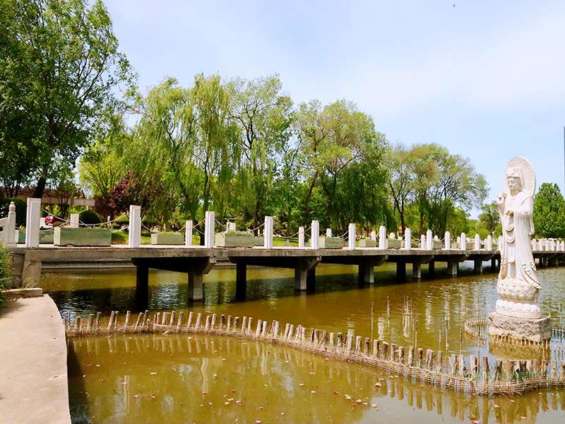 思亲园有什么特别的墓碑吗（思亲园位置及电话）