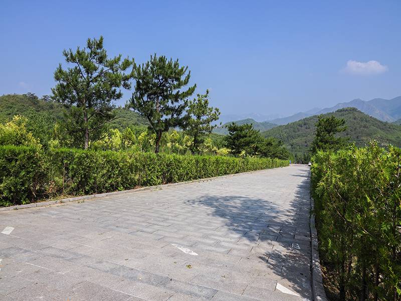 九公山纪念林和景仰园相比怎么样（生态葬该如何选择）