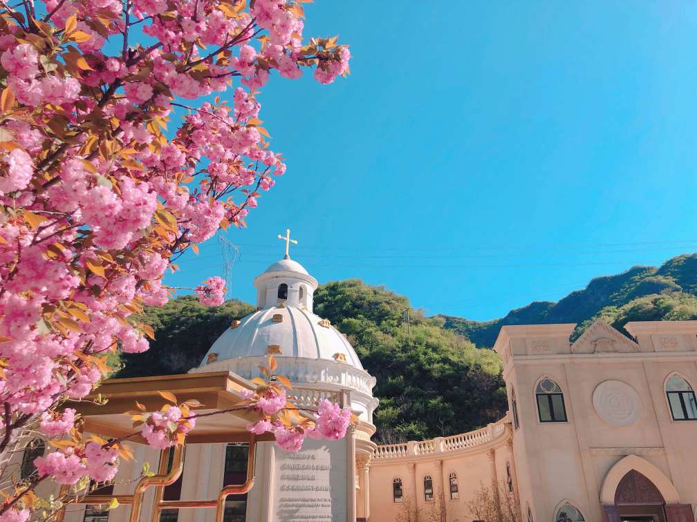 北京怀柔树葬公墓哪里有？九公山树葬怎么样？