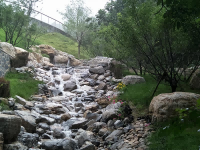 九公山纪念林距离市区远吗（怎样前往九公山纪念林）