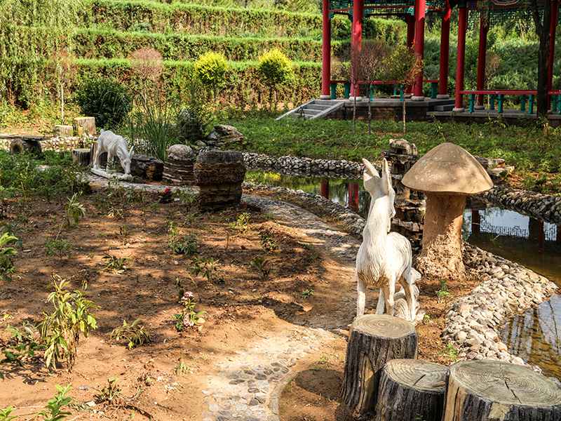 金山陵园预约扫墓方式有哪些(如何选择墓地)