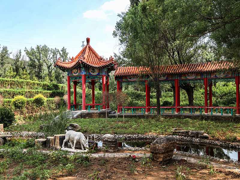 金山陵园值班电话是多少( 金山陵园的价格怎样)