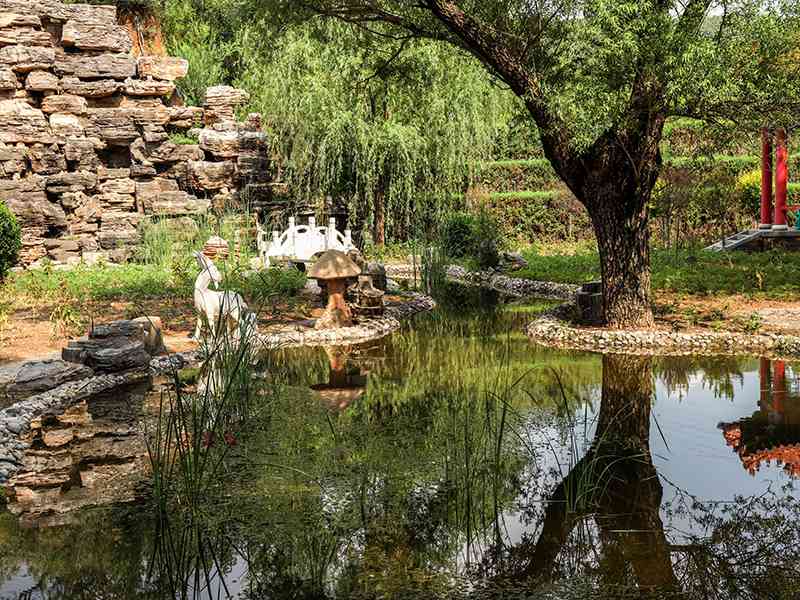 金山陵园电话查找途径 (金山陵园使用期限)