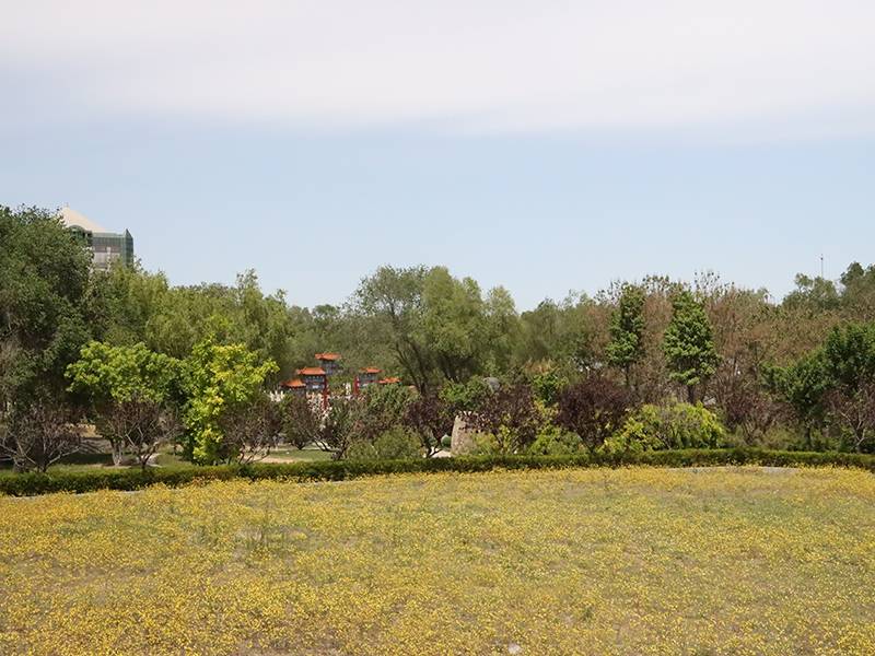 朝阳区有几个陵园（电话是多少，还能去选墓吗）