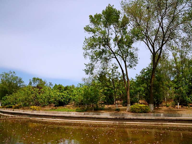 归山陵园性价比高吗（归山陵园墓碑价格多少）